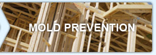 Mold_Prevention